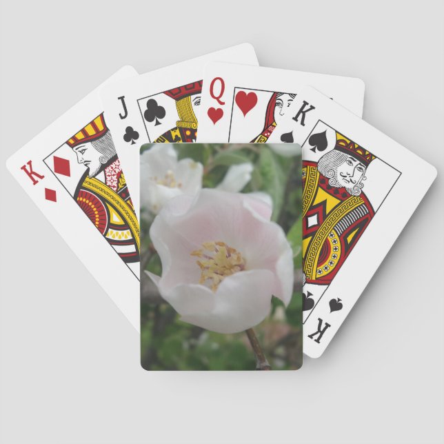 Jeu De Cartes Pures Poker Jouer Cartes (dos)