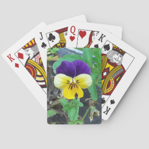 Jeu De Cartes Purple et Yellow Pany