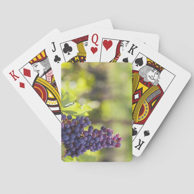 Jeu De Cartes Purple grapevine (dos)