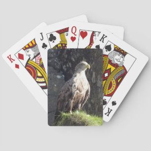 Jeu De Cartes Pygargue à queue blanche perché sur falaise rocheu