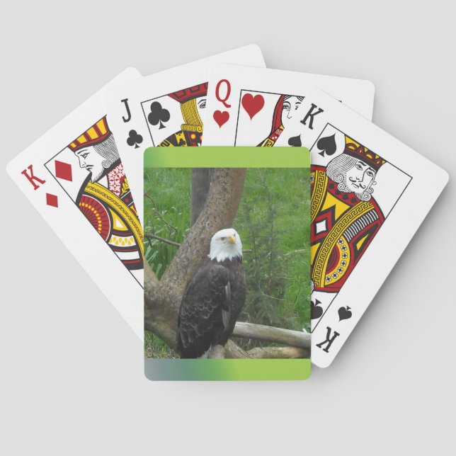Jeu De Cartes Pygargue à tête blanche (dos)