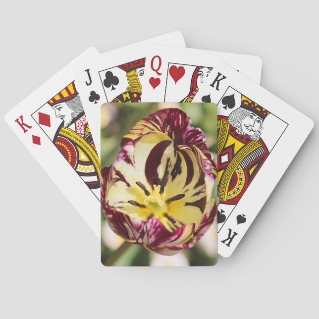 Jeu De Cartes Quand Tu Étais Une Tulipe (dos)