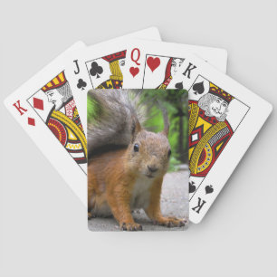 Jeu De Cartes Qu'est-ce que tu as?