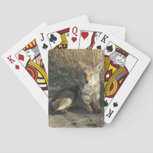 Jeu De Cartes R19 Coyote Laying