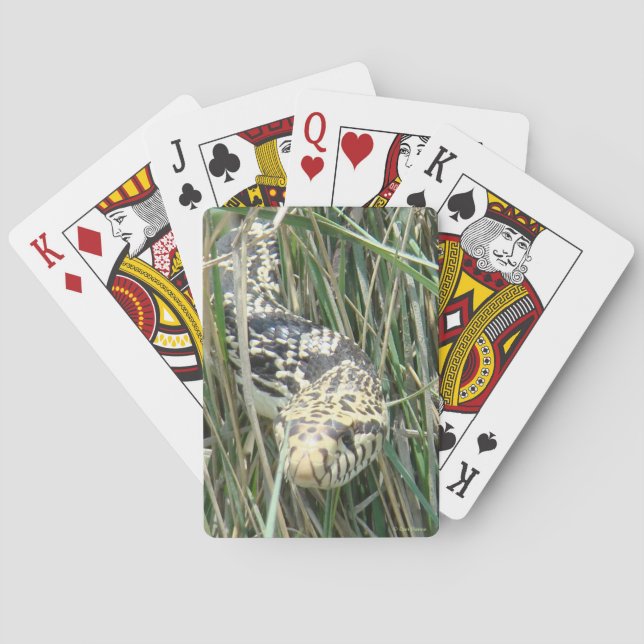 Jeu De Cartes R4 Couleuvre gophère dans l'herbe (dos)