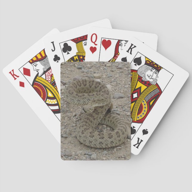 Jeu De Cartes R9 serpent à sonnette de prairie enroulé (dos)