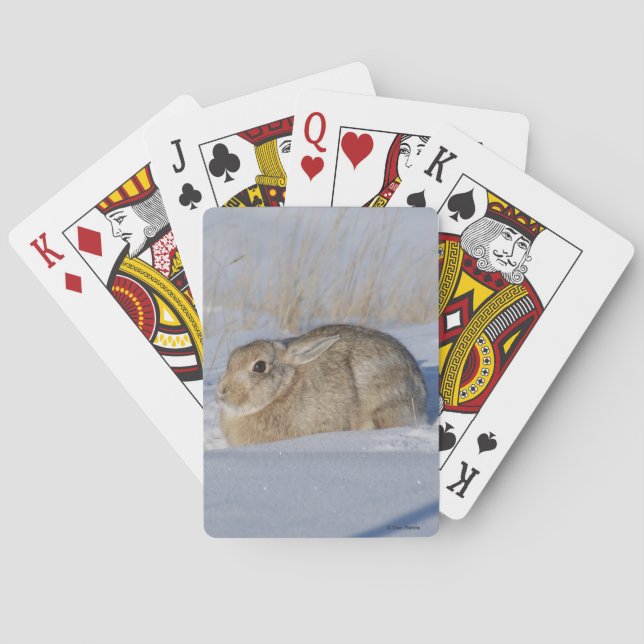 Jeu De Cartes Rabbit de coton R5 en neige (dos)