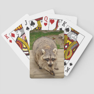 Jeu De Cartes Raccoon avec puce