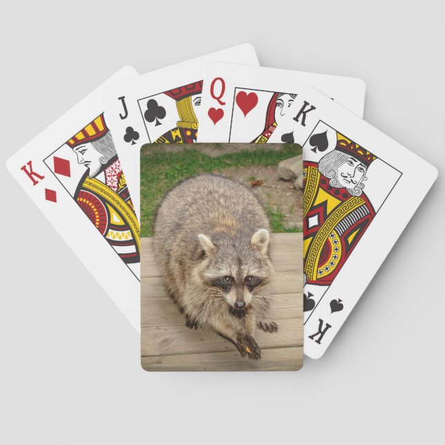 Jeu De Cartes Raccoon avec puce (dos)