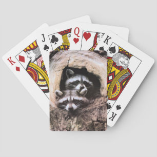 Jeu De Cartes Raccoon Playing Cards