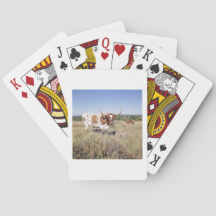 Jeu De Cartes Race Texas Longhorn (photo)