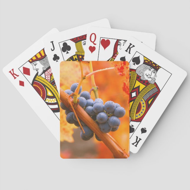 Jeu De Cartes Raisin de vigne dans le vignoble (dos)