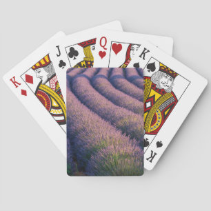 Jeu De Cartes Rangs de lavande en Provence