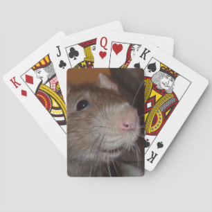 Jeu De Cartes rat de rire jouant aux cartes