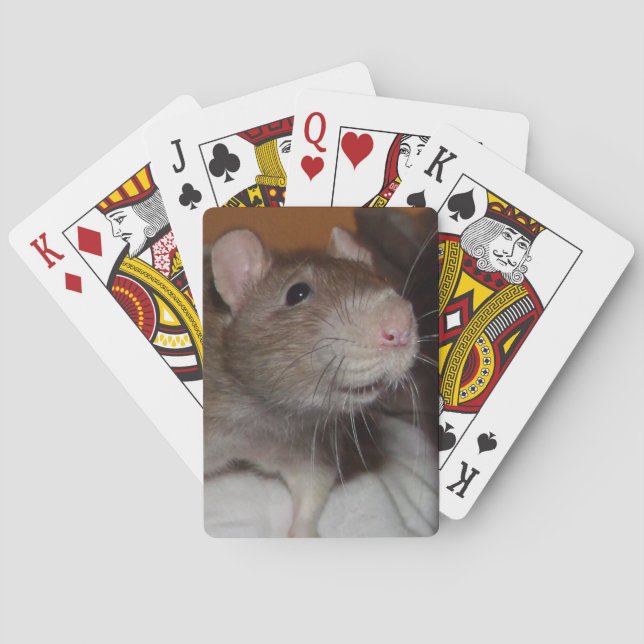 Jeu De Cartes rat de rire jouant aux cartes (dos)