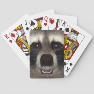 Jeu De Cartes Raton laveur