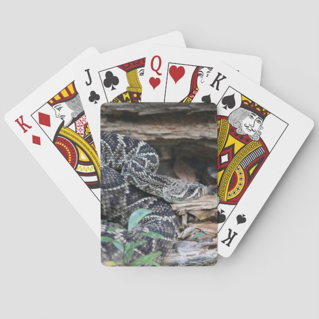 Jeu De Cartes Rattlesnake (dos)