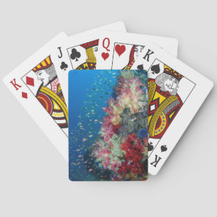 Jeu De Cartes Récif de corail sous-marin, Indonésie