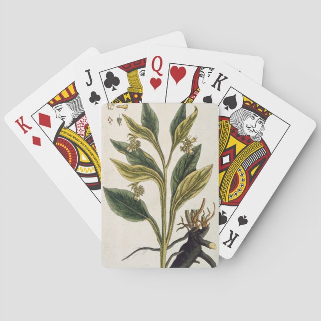 Jeu De Cartes Red Chili (gravure couleur) (dos)