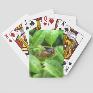 Jeu De Cartes Red Eyed Cicada