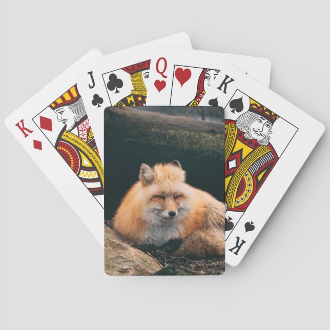 Jeu De Cartes Red Fox dormant (dos)