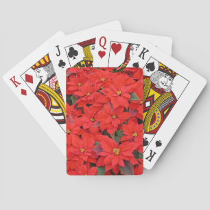 Jeu De Cartes Red Poinsettias I Christmas Holiday Floral Photo