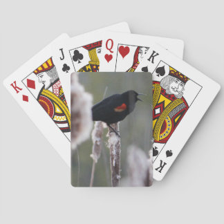 Jeu De Cartes Red-winged Blackbird (Agelaius phoeniceus)
