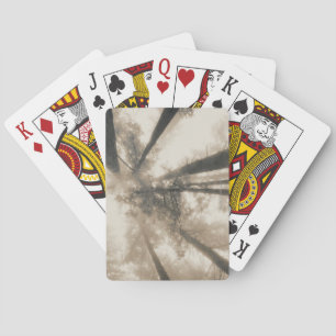 Jeu De Cartes Redwood Forest, Californie du Nord