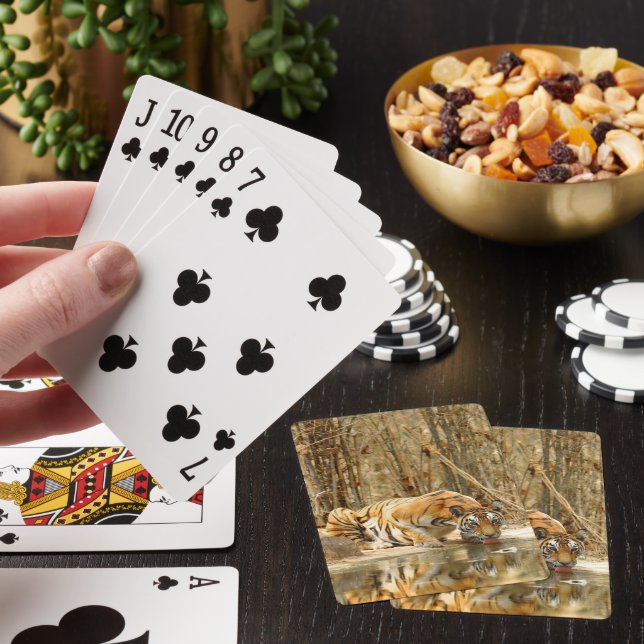 Jeu De Cartes Réflexion du tigre (In Situ)