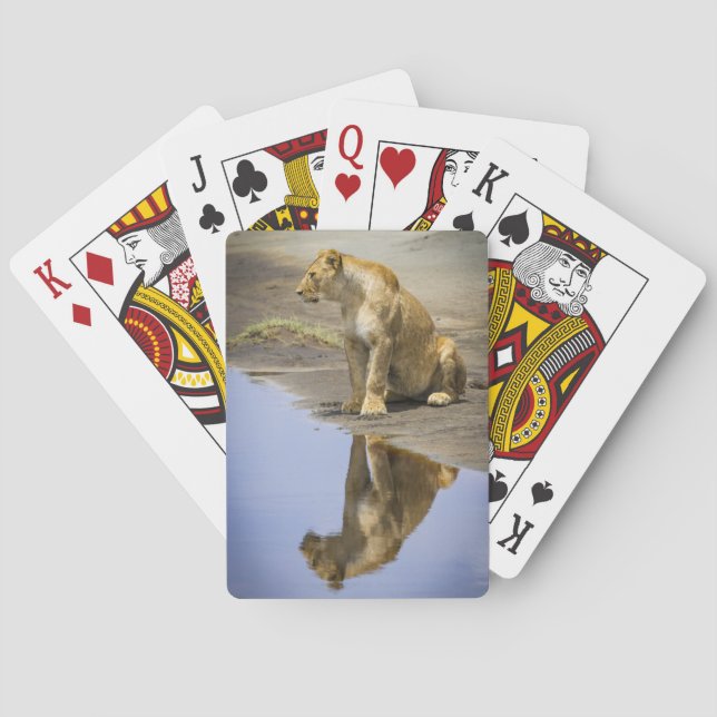 Jeu De Cartes Réflexion d'une Lioness Playing Cards (dos)