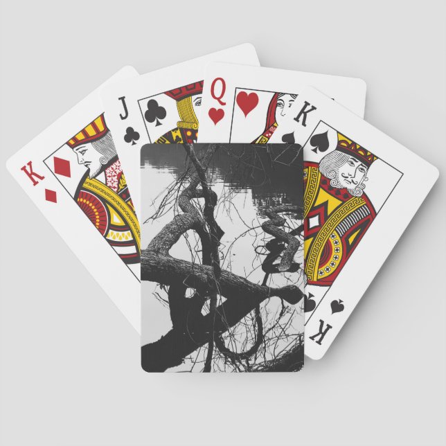 Jeu De Cartes Réflexions de l'ombre de l'arbre foncé tordu dans  (dos)