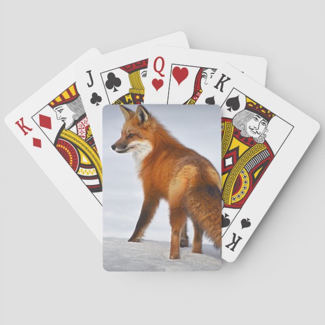 Jeu De Cartes Renard rouge en hiver (dos)