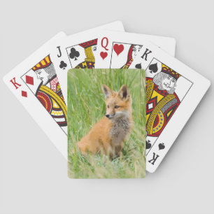 Jeu De Cartes Renardeau roux dans l'herbe près du terrier