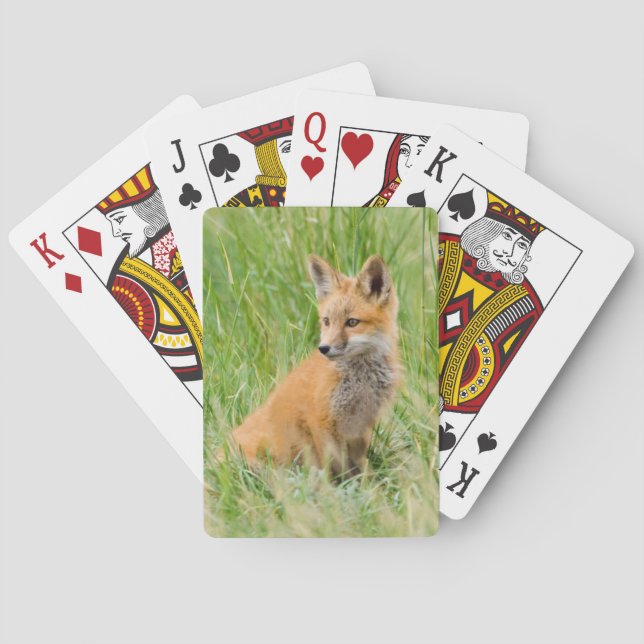 Jeu De Cartes Renardeau roux dans l'herbe près du terrier (dos)