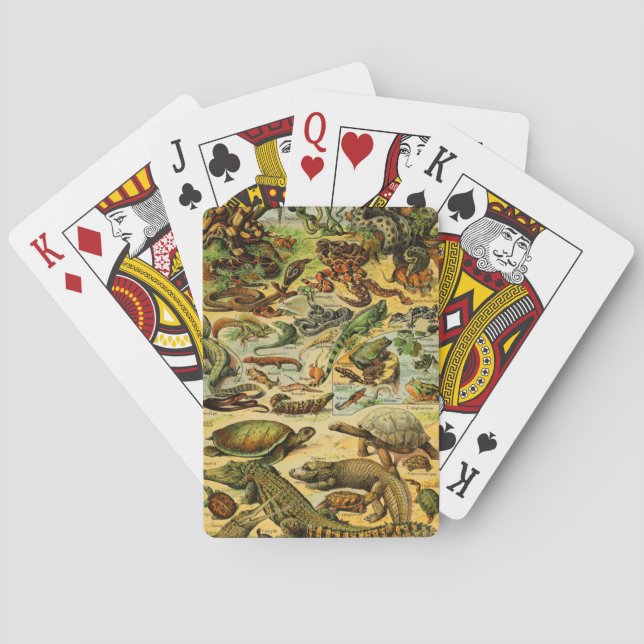 JEU DE CARTES REPTILES (dos)