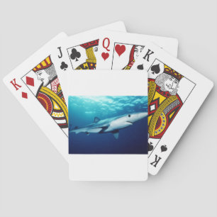 Jeu De Cartes Requin bleu