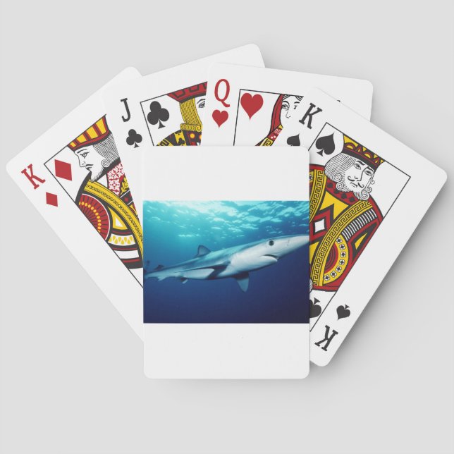 Jeu De Cartes Requin bleu (dos)