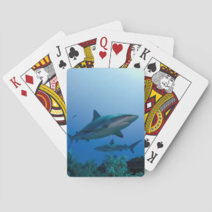 Jeu De Cartes Requin des récifs des Caraïbes Jardines de la Rein