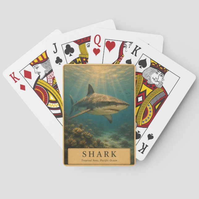 Jeu De Cartes Requin Tropical Pacifique VINTAGE (dos)