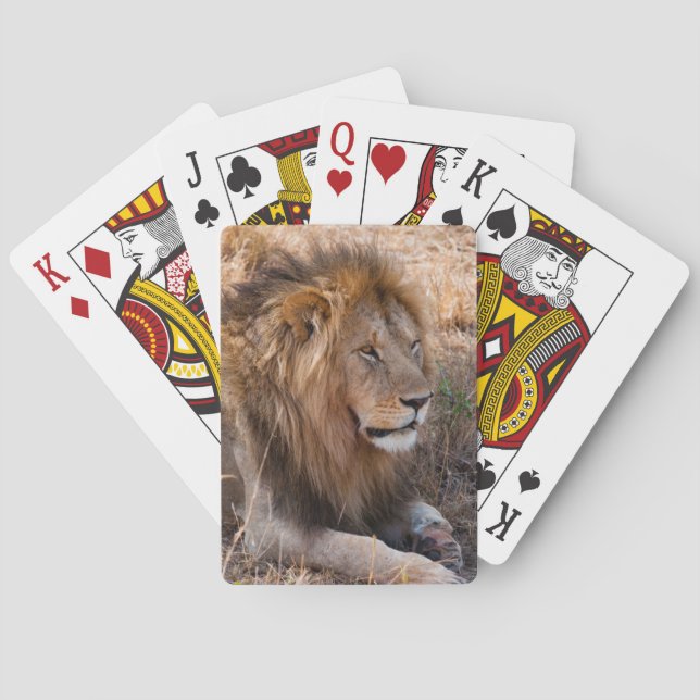 Jeu De Cartes Réserve nationale du Lion Massai Mara, Kenya (dos)