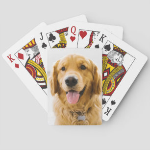 Jeu De Cartes Retriever d'or souriant