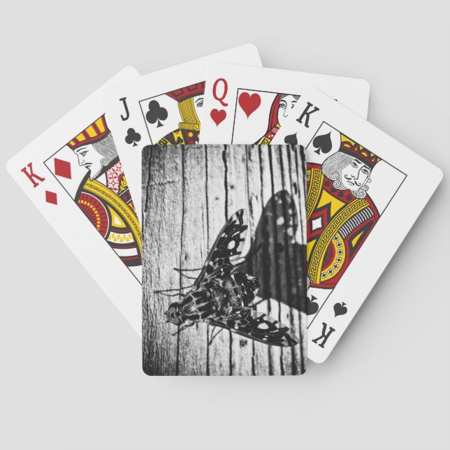 Jeu De Cartes revenir en volant (dos)