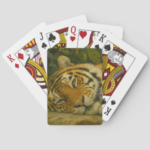 Jeu De Cartes Reverie forestière - Tigre de repos dans la lumièr