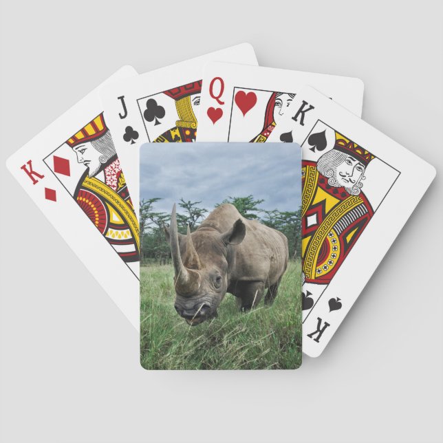 Jeu De Cartes Rhinocéros noir | Kenya (dos)