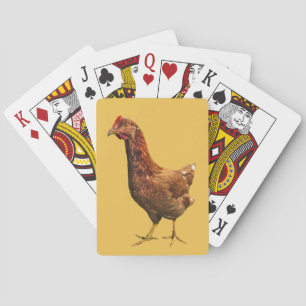 Jeu De Cartes Rhode Island Red Hen Jouant aux cartes