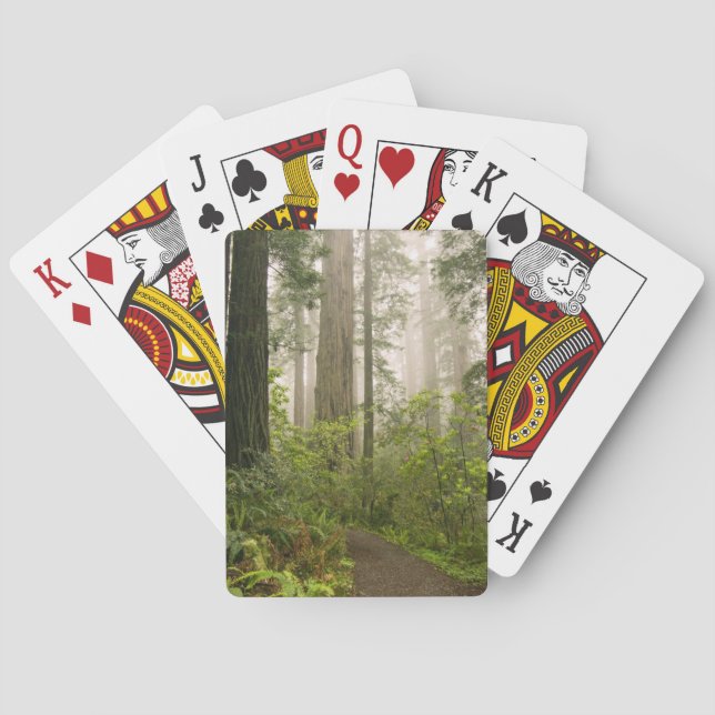 Jeu De Cartes Rhododendron en fleurs parmi les Séquoias à feuill (dos)