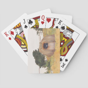 Jeu De Cartes Rivage d'Automne