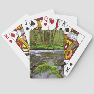 Jeu De Cartes Rivière dans la forêt verte, Oregon
