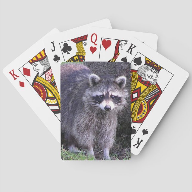 Jeu De Cartes Rocky le Raton laveur (dos)