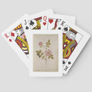 Jeu De Cartes Rosa Canina - Dogrose and Caterpillar (pencil & w/
